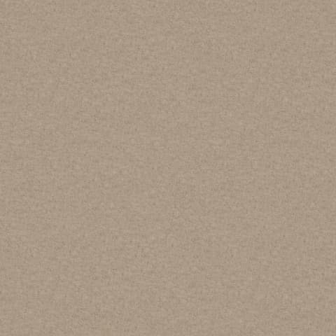 AMATHEON BIRCH thumbnail 2