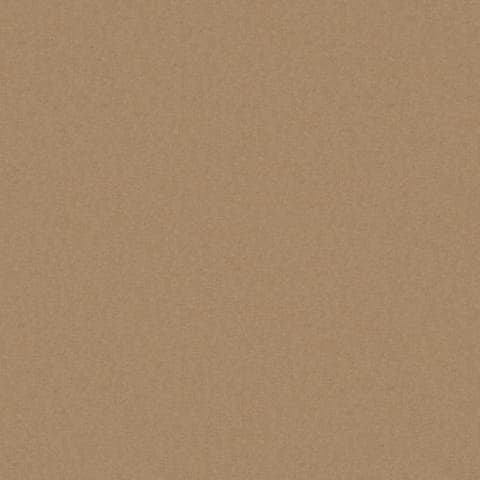 AMATHEON CAMEL thumbnail 2