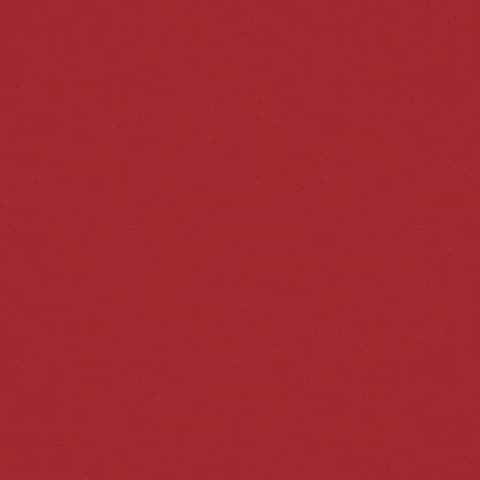 AMATHEON LADYBIRD thumbnail 2