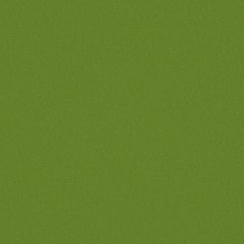 AMATHEON LIME thumbnail 2