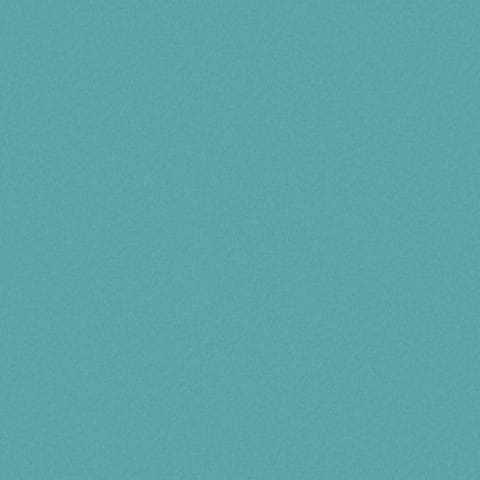 AMATHEON PACIFIC thumbnail 2