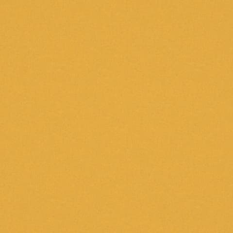 AMATHEON SUNSHINE thumbnail 2