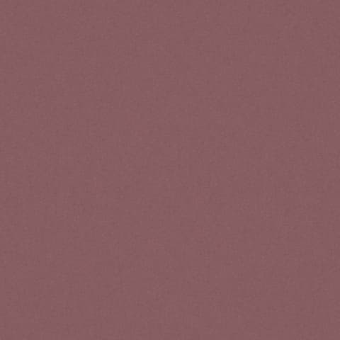 AMATHEON THISTLE thumbnail 2