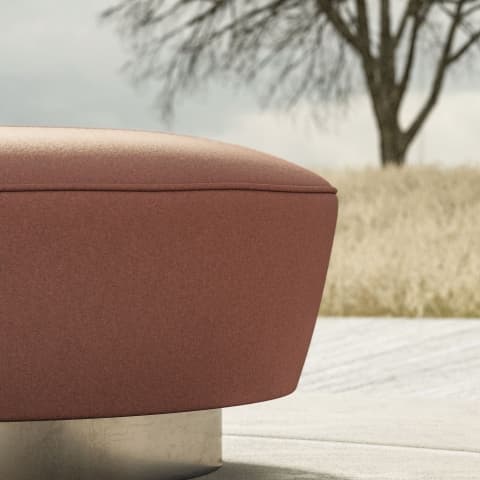 AMATHEON THISTLE thumbnail 3