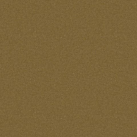 ADARA CITRUS thumbnail 2