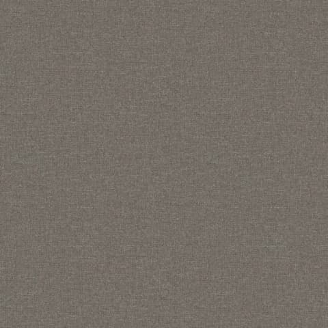 ADARA DRAB thumbnail 2