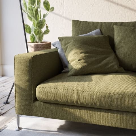 ADARA GORSE thumbnail 4