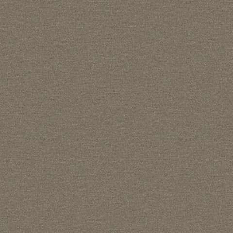 ADARA LLAMA thumbnail 2