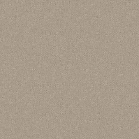 ADARA OATMEAL thumbnail 2