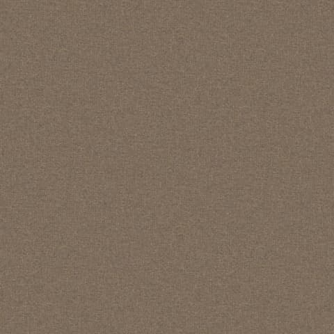 ADARA SAFARI thumbnail 2