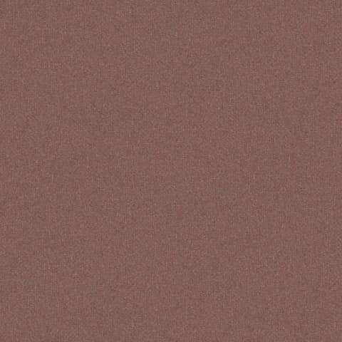 ADARA SALMON thumbnail 2