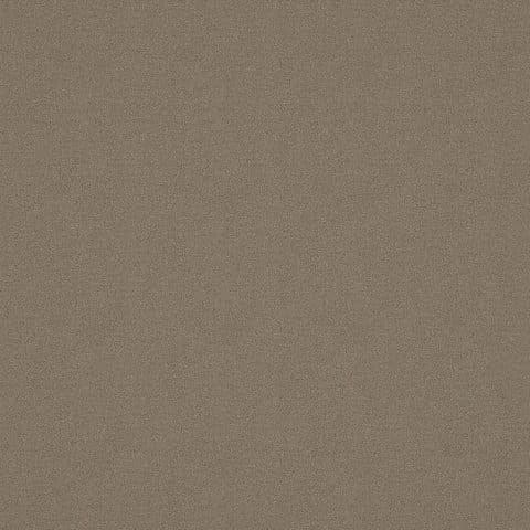 ALPAKA COYOTE thumbnail 2