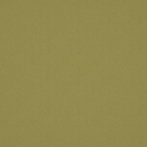 ALPAKA KIWI thumbnail 2