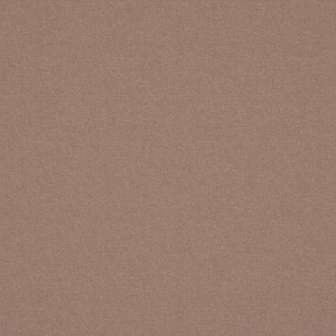 ALPAKA ROSE thumbnail 2