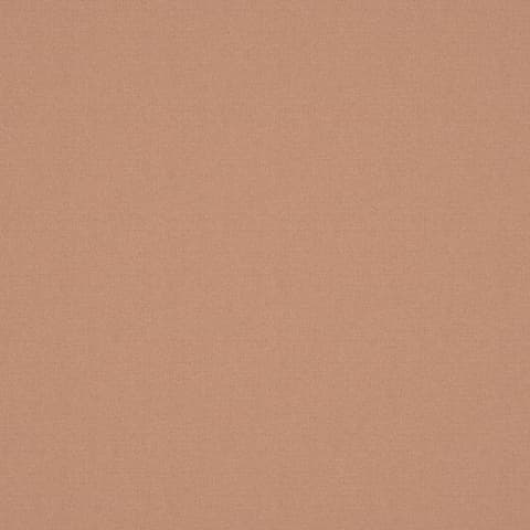 ALPAKA SALMON thumbnail 2