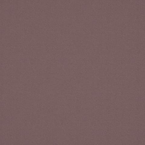 ALPAKA THISTLE thumbnail 2