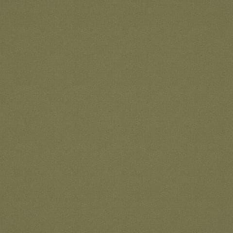 ALPAKA WILLOW thumbnail 2